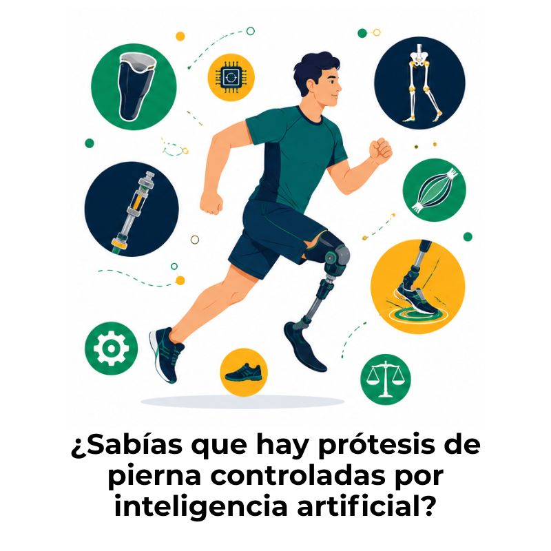 tipos de prótesis de pierna