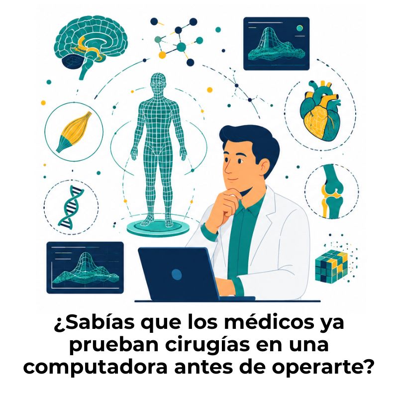 modelado computacional del cuerpo humano