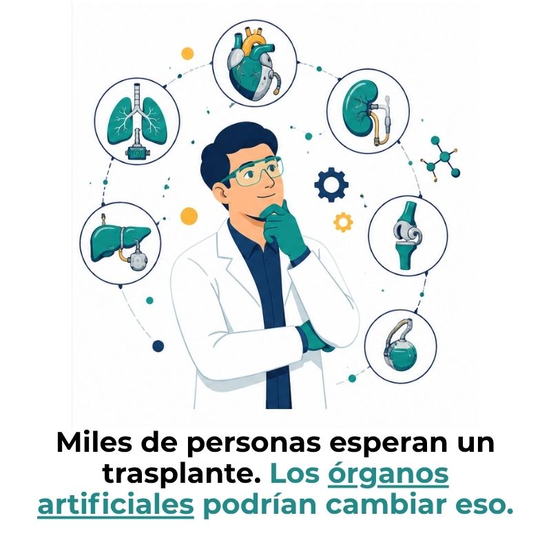 órganos artificiales