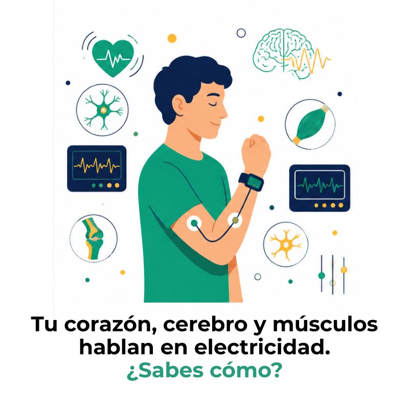 señales bioeléctricas del cuerpo humano