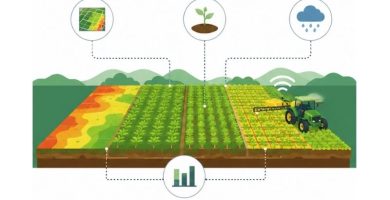 qué es la agricultura de precisión