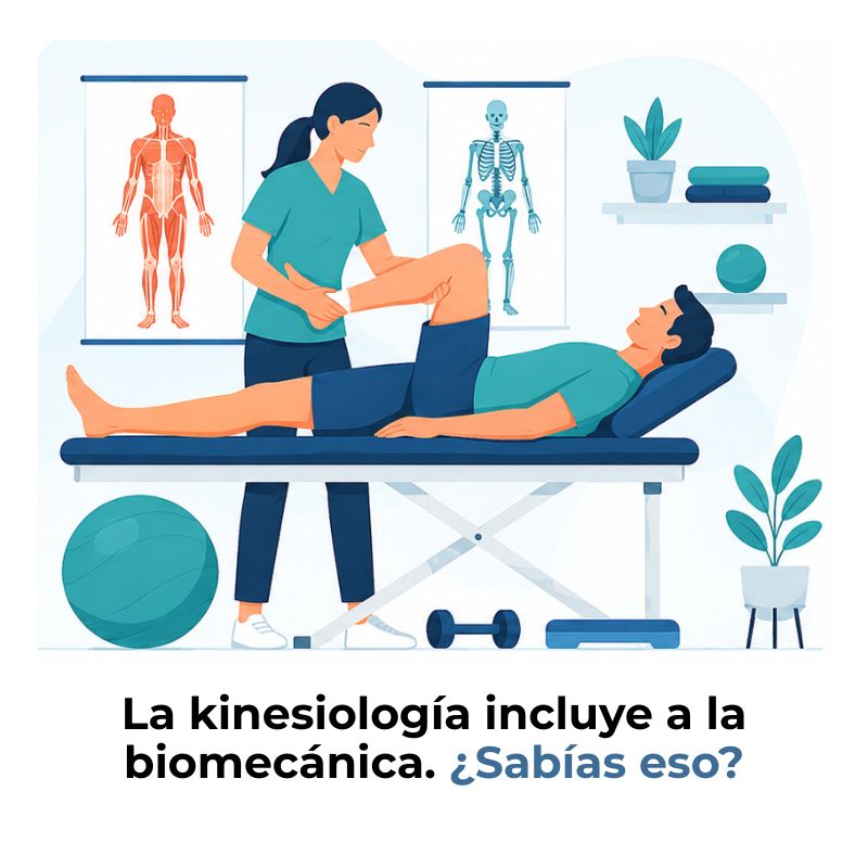diferencia entre biomecánica y kinesiología