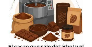 diferencia entre cacao en grano y cacao industrializado