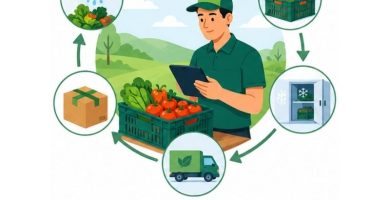 manejo poscosecha de productos agrícolas