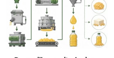 industrialización de la soya