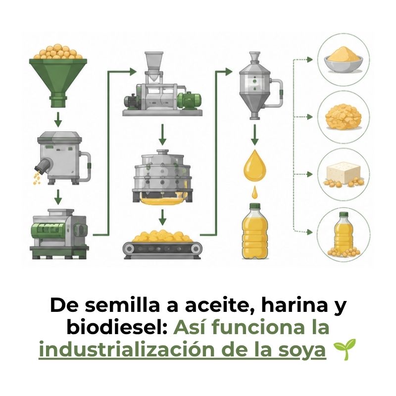 industrialización de la soya