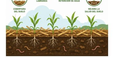 qué es la labranza de conservación
