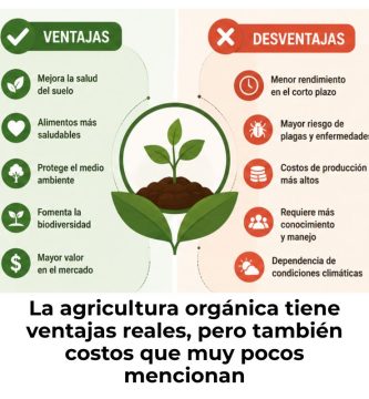 ventajas y desventajas de la agricultura orgánica