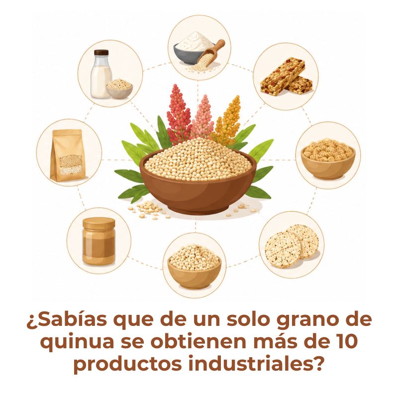 productos derivados de la quinua industrializada