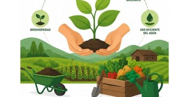 agricultura orgánica