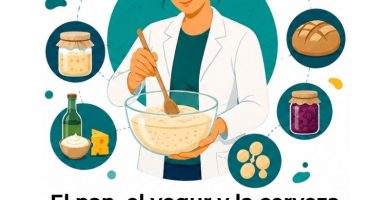fermentación alimentaria