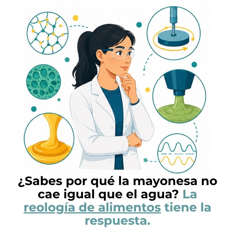 propiedades reológicas de alimentos