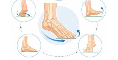 biomecánica del tobillo y el pie