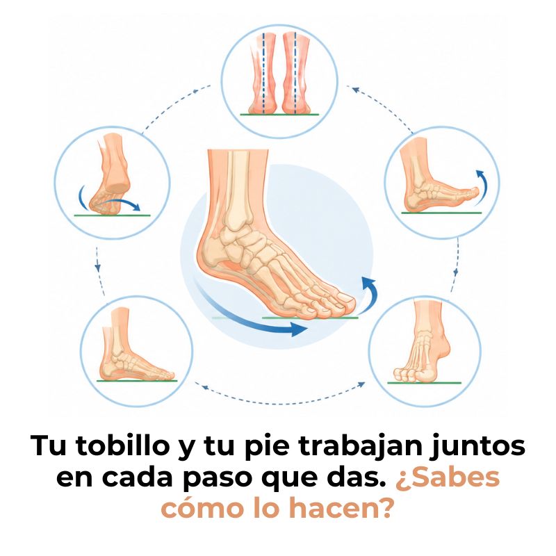 biomecánica del tobillo y el pie