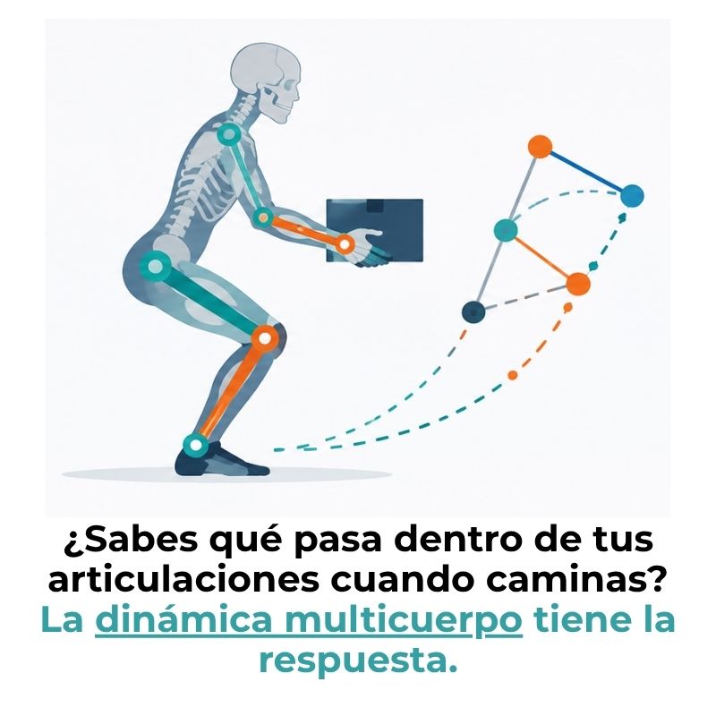 dinámica multicuerpo en biomecánica