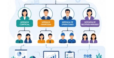 qué es un organigrama empresarial