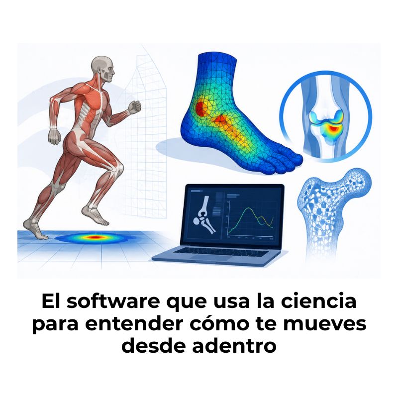 software de simulación biomecánica