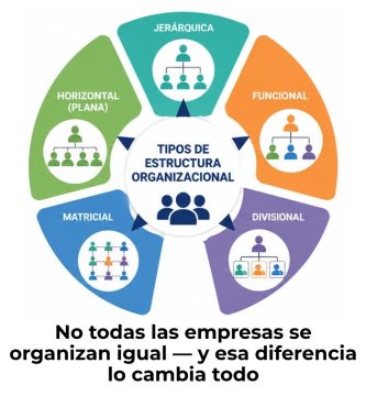 tipos de estructura organizacional