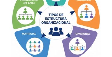 tipos de estructura organizacional